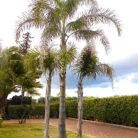 Villa La Chiantata - Abbasciu