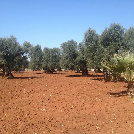 La Chiantata - Abbasciu San Vito dei Normanni