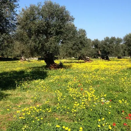 Villa La Chiantata - Abbasciu