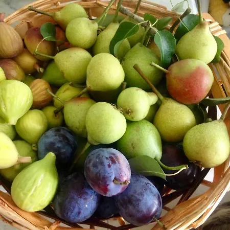 Villa La Chiantata - Abbasciu *