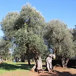 La Chiantata - Abbasciu סן ויטו דיי נורמני
