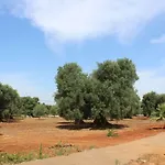 La Chiantata - Abbasciu