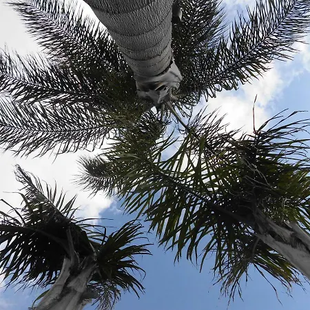 La Chiantata - Abbasciu * San Vito dei Normanni