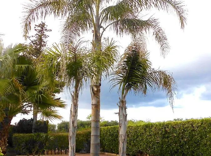Villa La Chiantata - Abbasciu