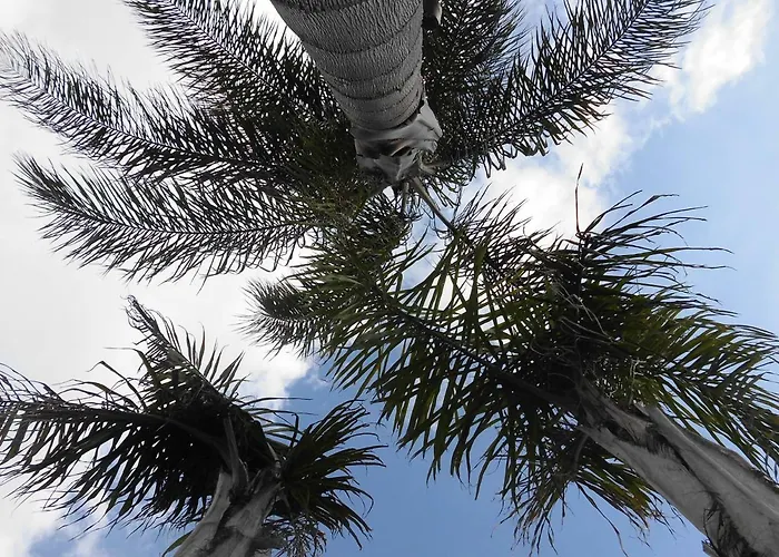 La Chiantata - Abbasciu * サン・ヴィート・デイ・ノルマンニ