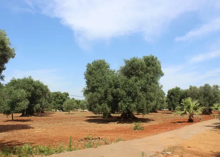La Chiantata - Abbasciu