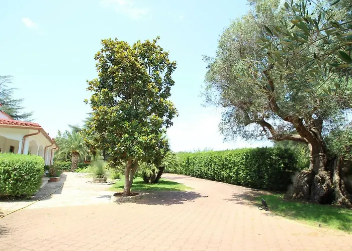 La Chiantata - Abbasciu San Vito dei Normanni